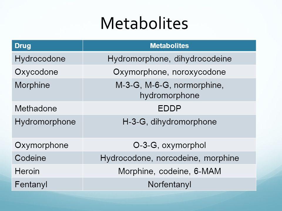 oxycodone and hydrocodone metabolites
